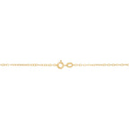 14K Yellow Gold Flat Rolo Chain, 18in.