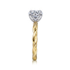 Gold Mounting