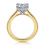 Gold Mounting