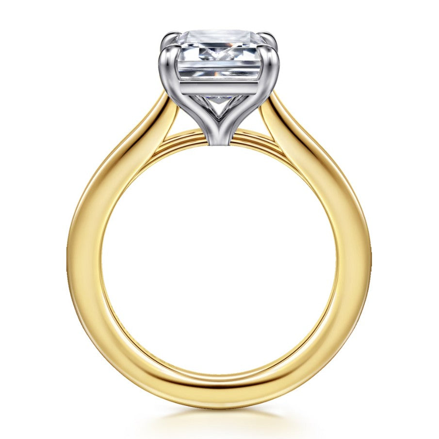 Gold Mounting