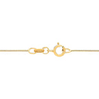 14K Yellow Gold Box Chain, 18in.